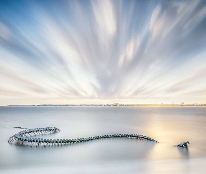 El 'esqueleto de serpiente gigante' que emerge de la playa atrae a los turistas al check-in - 7