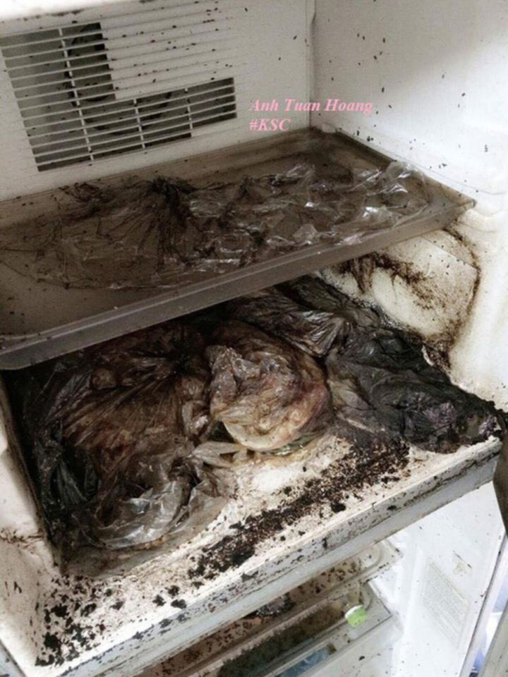 Trở lại phòng sau Tết, xỉu ngang khi thấy 'bạn trọ mới' và 'khách không mời' - 4