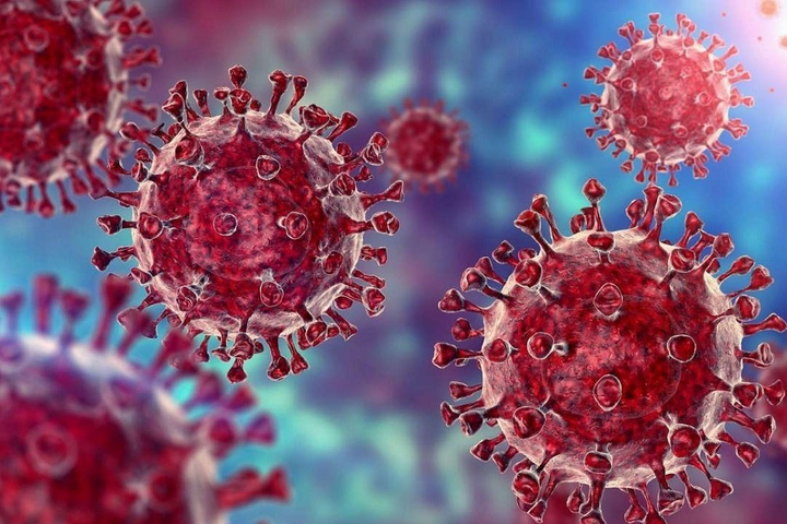 Nhìn lại chặng đường chống dịch 'cam go nhất lịch sử' ở TP.HCM trong năm qua - 3