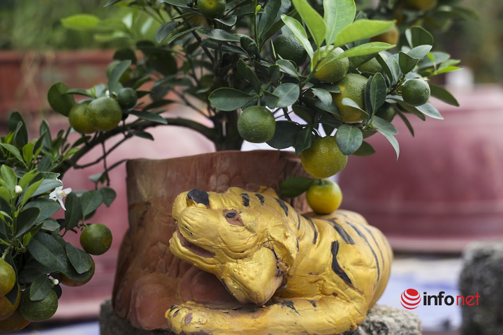 Loạt sản phẩm hình hổ trang trí nhà đón Tết Nhâm Dần - 3