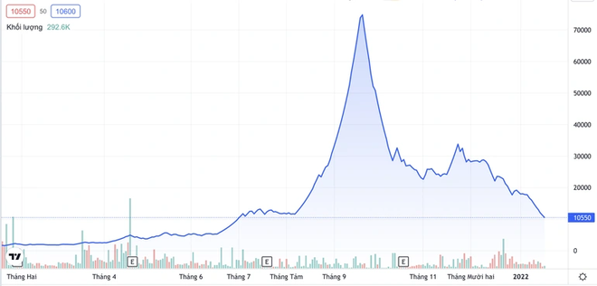 Louis Capital bị phạt hơn 200 triệu đồng - 1