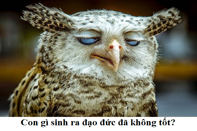 Con gì vừa sinh ra đạo đức đã không tốt? - 1