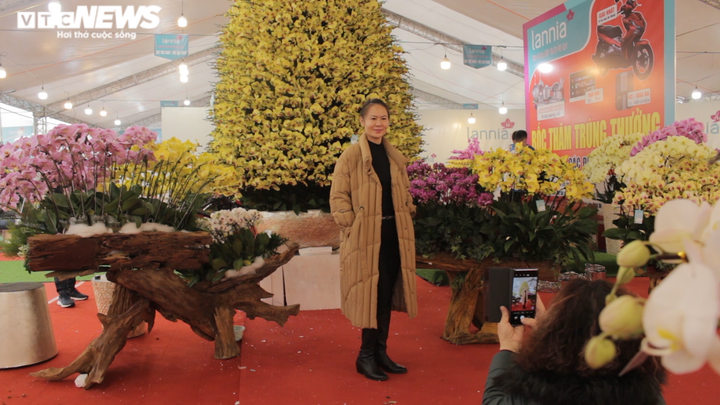 Chậu lan hồ điệp khổng lồ được cắm suốt 3 ngày, giá gần 1 tỷ đồng - 3