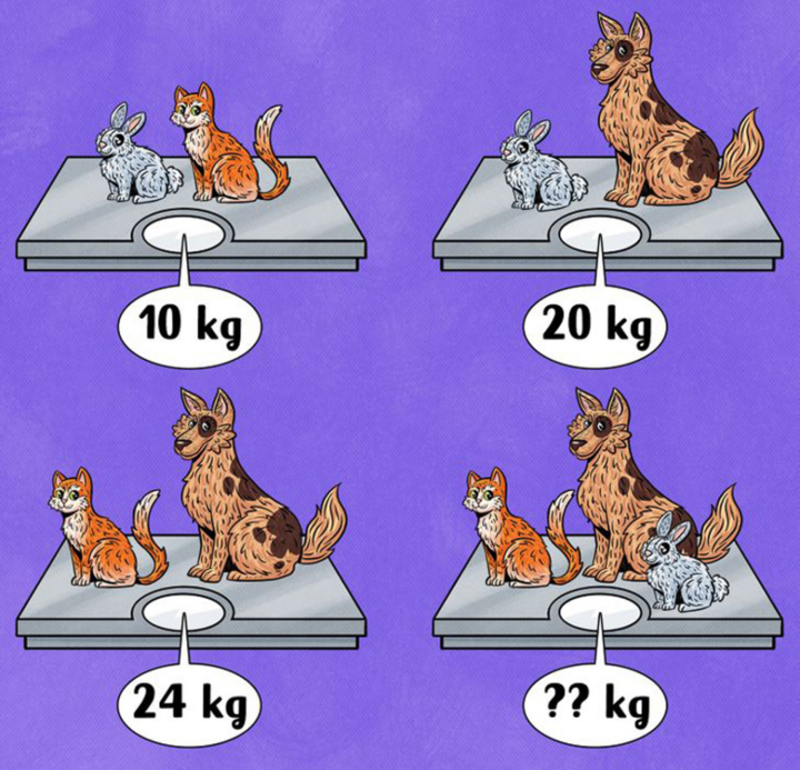 Đố vui: Chó, mèo và thỏ nặng mấy kg? - 1