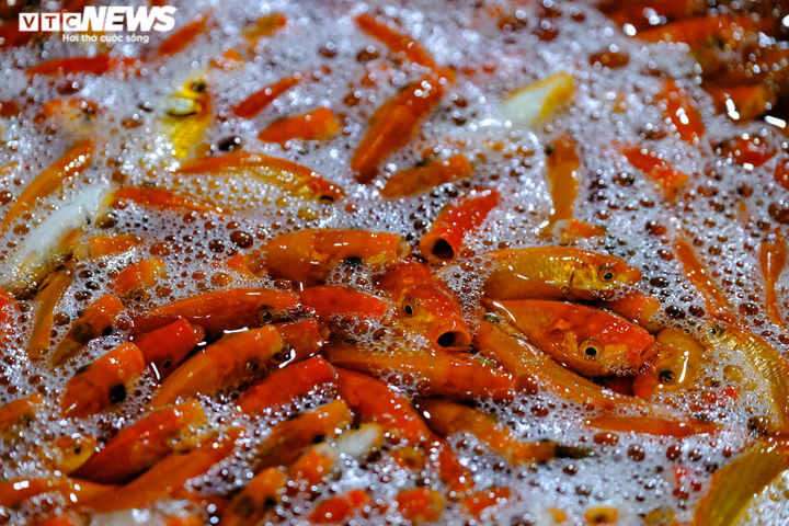 Cá chép tăng giá mạnh trong ngày tiễn ông Công, ông Táo lên trời - 3