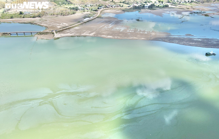 Ảnh: Người dân khốn khổ sống cạnh hồ thủy điện nổi váng, bốc mùi hôi ở Kon Tum - 11