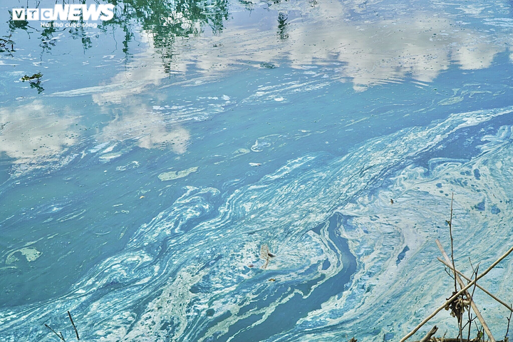 Ảnh: Người dân khốn khổ sống cạnh hồ thủy điện nổi váng, bốc mùi hôi ở Kon Tum - 6