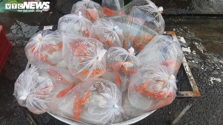 Tiễn Táo quân về trời, người Sài Gòn mong năm mới không còn dịch bệnh - 10