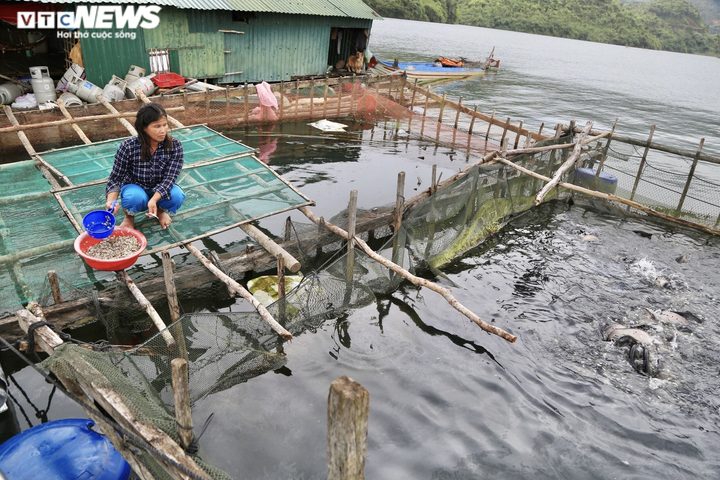 Khát vọng lên bờ của người dân làng chài hồ thủy điện đẹp nhất Tây Nguyên - 3