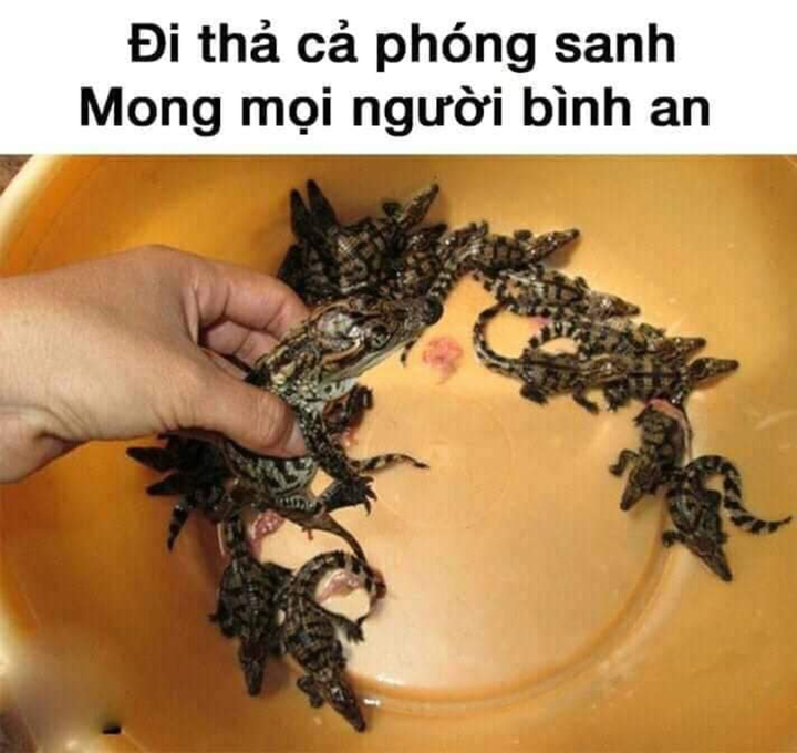 23 tháng chạp, ra xem 1001 kiểu tiễn ông Táo từ vui sương sương đến 'mặn chát' - 6