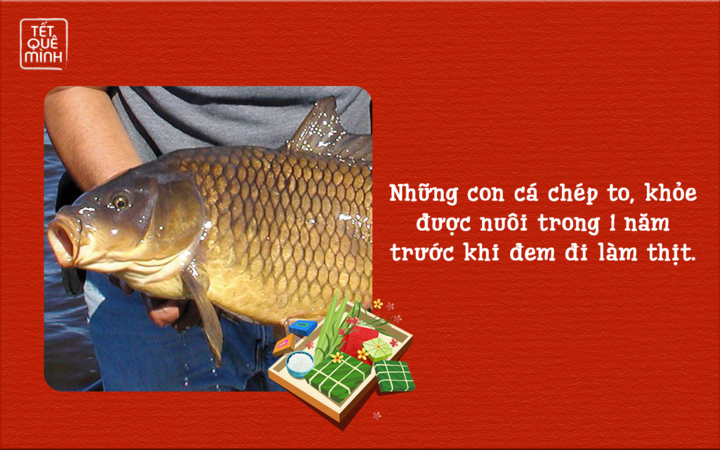 Tết quê mình: Cá chép nằm võng - món ăn độc đáo, kỳ công trên mâm cỗ ở Thái Bình - 3