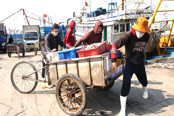 Ảnh: Cảng cá lớn nhất miền Trung tấp nập ngày giáp Tết - 8