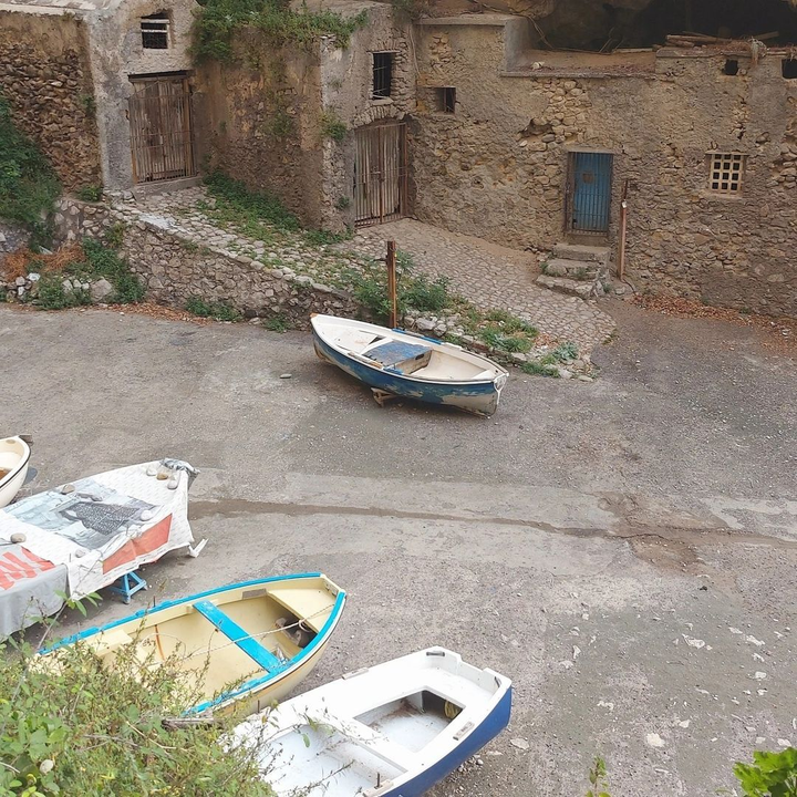 Hòn đảo có hình cá heo: Chỉ tiếp 12 khách/tuần, người có tiền mới tham quan được - 4