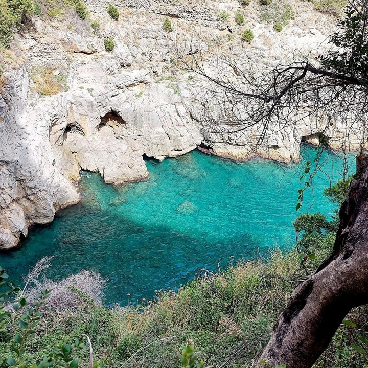 Hòn đảo có hình cá heo: Chỉ tiếp 12 khách/tuần, người có tiền mới tham quan được - 7