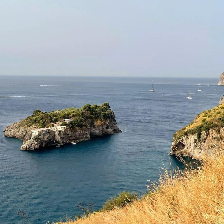 Hòn đảo có hình cá heo: Chỉ tiếp 12 khách/tuần, người có tiền mới tham quan được - 9