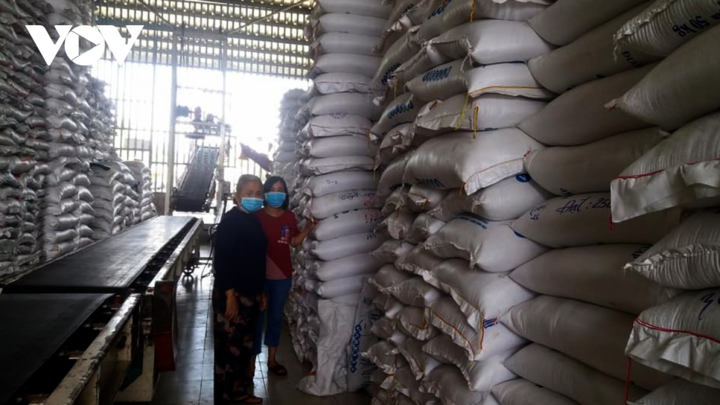 EVFTA mở ra cơ hội lớn chưa từng có cho gạo Việt - 1