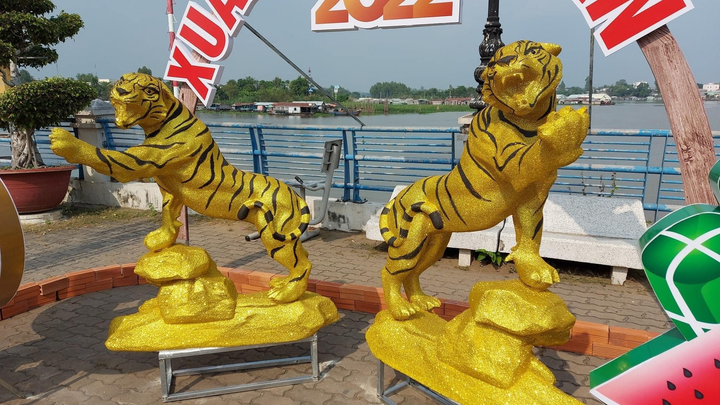 Dân mạng khắp các tỉnh rầm rộ khoe linh vật hổ 'hàng xịn', quên luôn các bản lỗi - 12