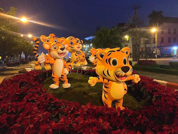 Dân mạng khắp các tỉnh rầm rộ khoe linh vật hổ 'hàng xịn', quên luôn các bản lỗi - 11