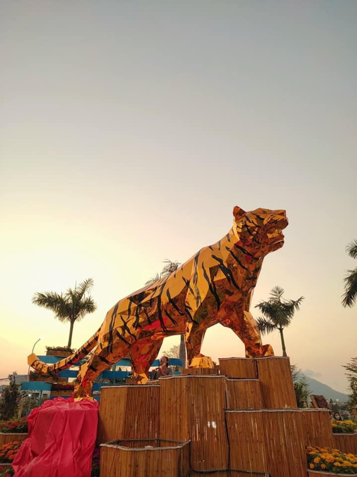 Dân mạng khắp các tỉnh rầm rộ khoe linh vật hổ 'hàng xịn', quên luôn các bản lỗi - 6