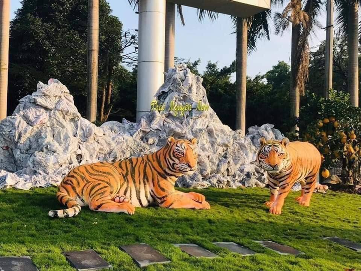 Dân mạng khắp các tỉnh rầm rộ khoe linh vật hổ 'hàng xịn', quên luôn các bản lỗi - 10