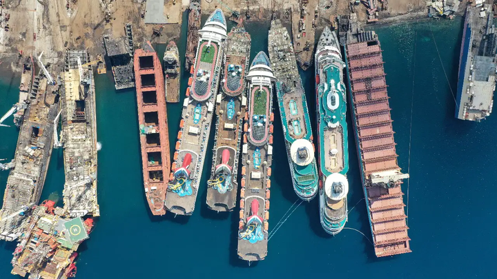 Cách các hãng du thuyền thích nghi với làn sóng Omicron - 1