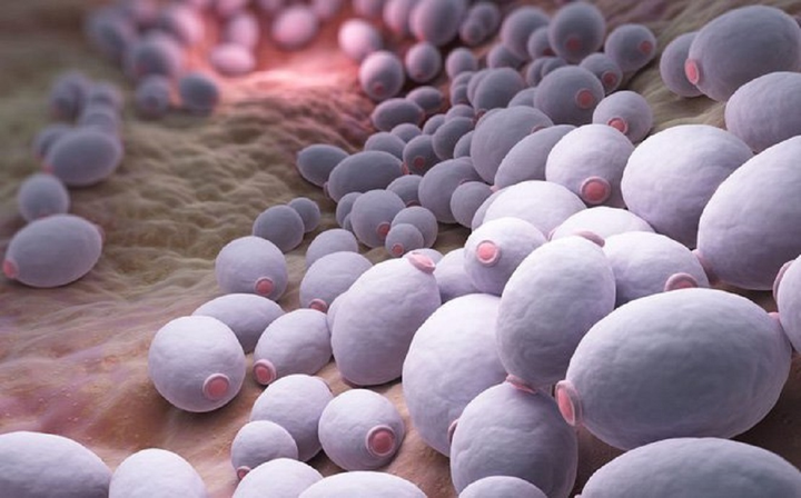 Điều gì xảy ra với cơ thể bạn nếu không mặc quần lót? - 4