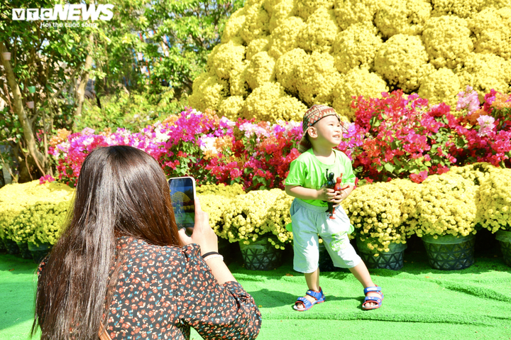 Ảnh: Ngỡ ngàng bó cúc mâm xôi khổng lồ ở miền Tây - 8