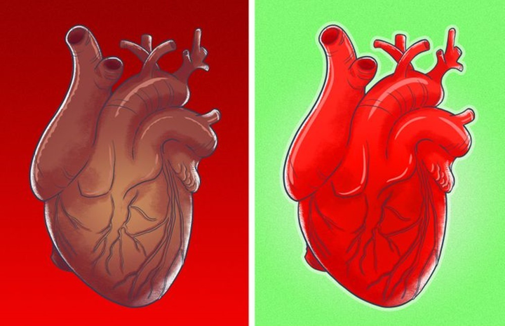 Điều gì sẽ xảy ra nếu bạn nhịn ăn trong 3 ngày? - 4