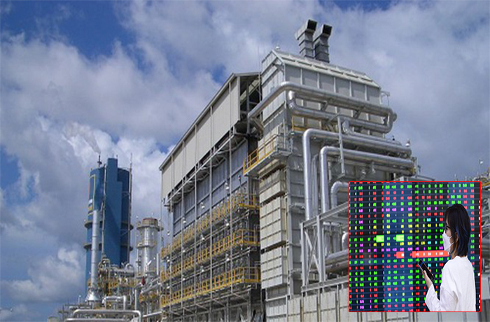 Doanh nghiệp đua tặng ‘quà’ cổ tức tiền mặt trước Tết - 1