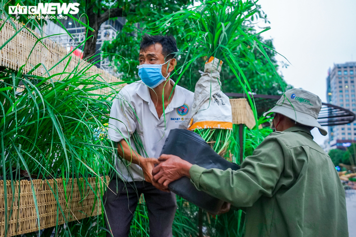 Ảnh: Ngắm linh vật hổ tại đường hoa Nguyễn Huệ - 7