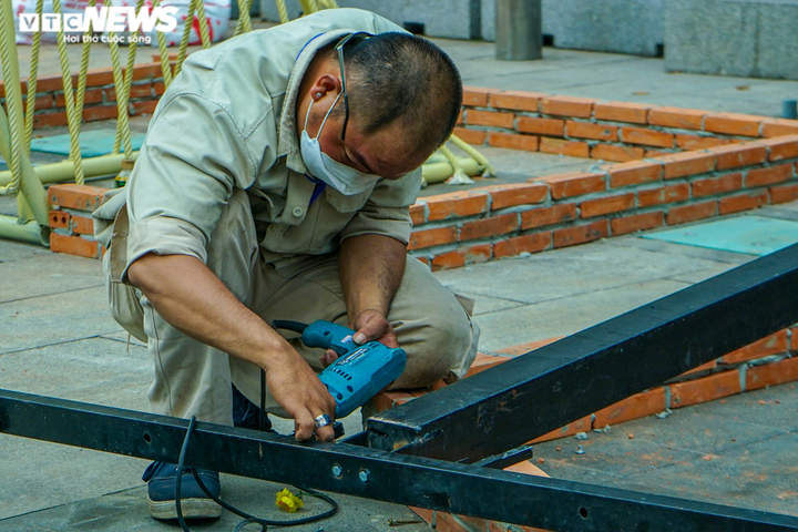 Ảnh: Ngắm linh vật hổ tại đường hoa Nguyễn Huệ - 6