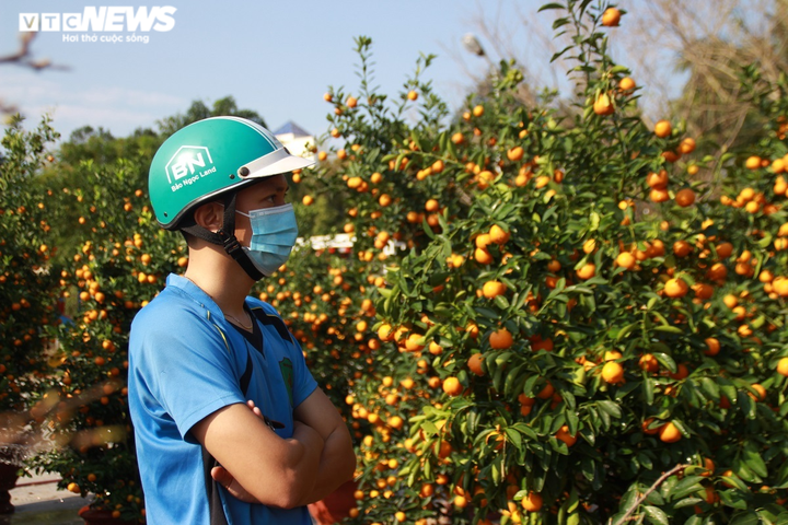 Chợ hoa những ngày giáp Tết: Trăm người bán, lác đác người mua - 2