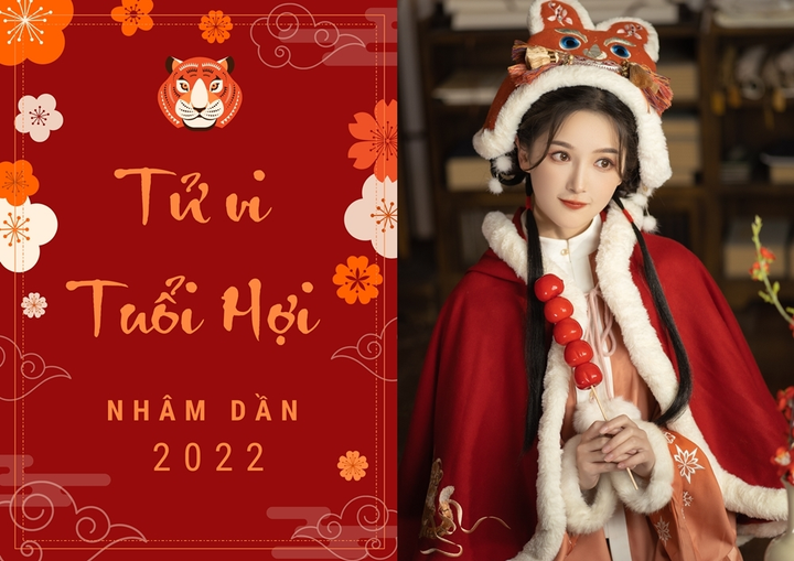 Tử vi năm Nhâm Dần 2022 của người tuổi Hợi - 1