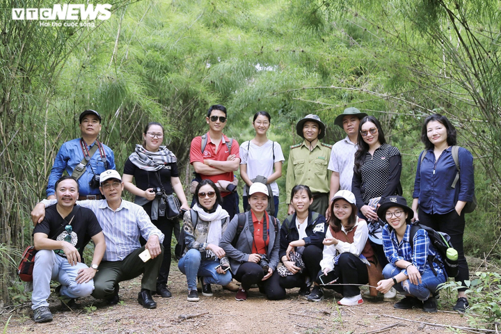 Về lại Yok Đôn, khu rừng khộp lớn nhất cả nước - 1