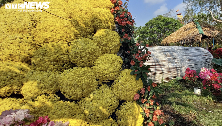 Ảnh: Ngỡ ngàng bó cúc mâm xôi khổng lồ ở miền Tây - 4