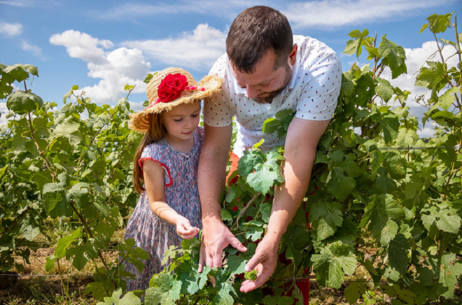 Sâm panh đến từ nhà vang nổi tiếng thế giới sắp có mặt tại Việt Nam - 3