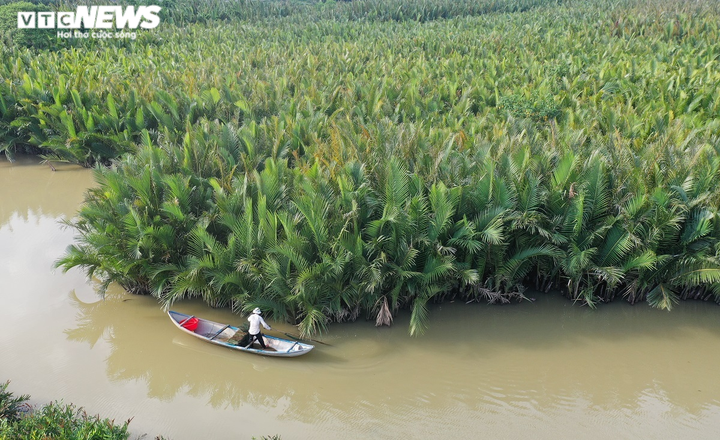 Ảnh: Khám phá rừng dừa nước trăm tuổi trên dòng Kinh Giang - 1