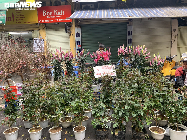 Ảnh: Chợ hoa Tết cổ nhất Hà Nội ngày cuối năm Tân Sửu - 14