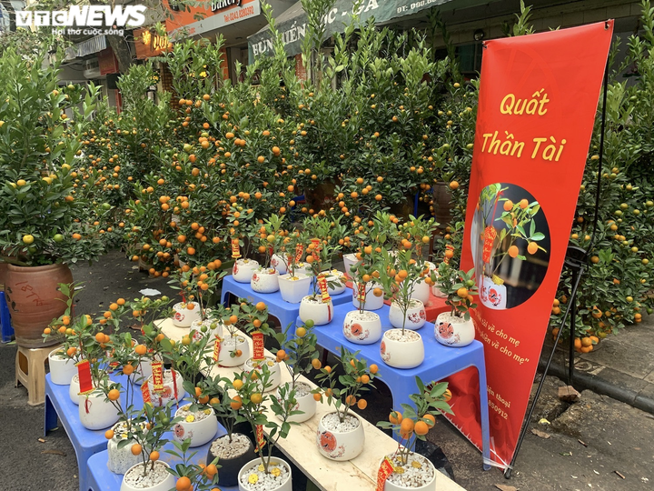 Ảnh: Chợ hoa Tết cổ nhất Hà Nội ngày cuối năm Tân Sửu - 10