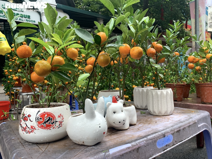 Ảnh: Chợ hoa Tết cổ nhất Hà Nội ngày cuối năm Tân Sửu - 12