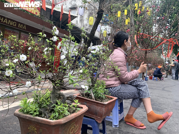Ảnh: Chợ hoa Tết cổ nhất Hà Nội ngày cuối năm Tân Sửu - 2