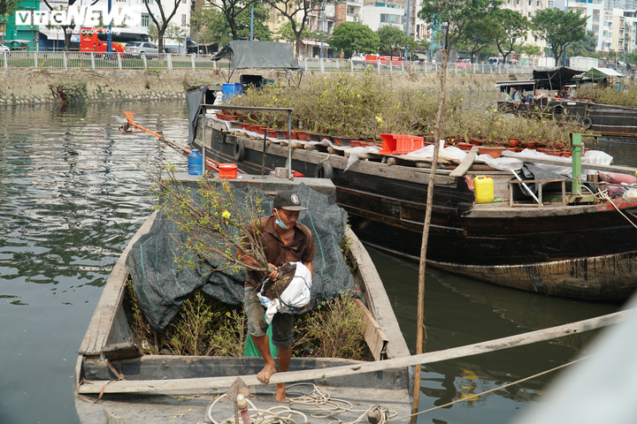 Ảnh: Chợ hoa 'Trên bến dưới thuyền' ở TP.HCM nhộn nhịp ngày giáp Tết - 9