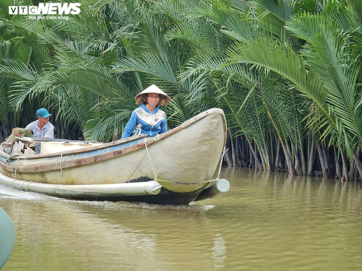 Ảnh: Khám phá rừng dừa nước trăm tuổi trên dòng Kinh Giang - 9