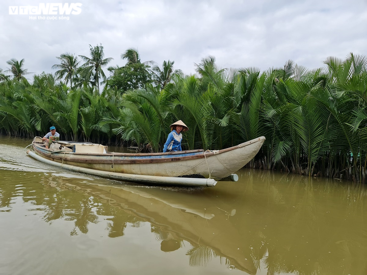 Ảnh: Khám phá rừng dừa nước trăm tuổi trên dòng Kinh Giang - 2