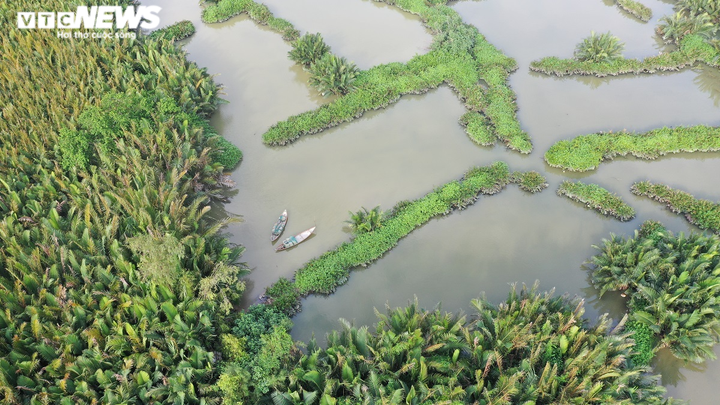 Ảnh: Khám phá rừng dừa nước trăm tuổi trên dòng Kinh Giang - 7