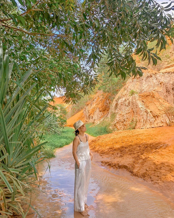 Dòng suối có 1-0-2 chỉ sâu tầm 5cm, nằm giữa đồi cát và rừng rậm đẹp như tranh - 6