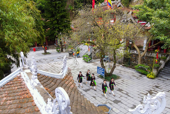 Ảnh: Đỉnh Tây Thiên ngập tràn sắc hoa, báo hiệu mùa xuân về - 10