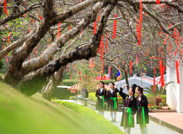 Ảnh: Đỉnh Tây Thiên ngập tràn sắc hoa, báo hiệu mùa xuân về - 9