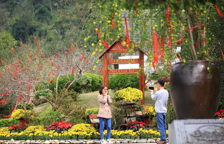 Ảnh: Đỉnh Tây Thiên ngập tràn sắc hoa, báo hiệu mùa xuân về - 13