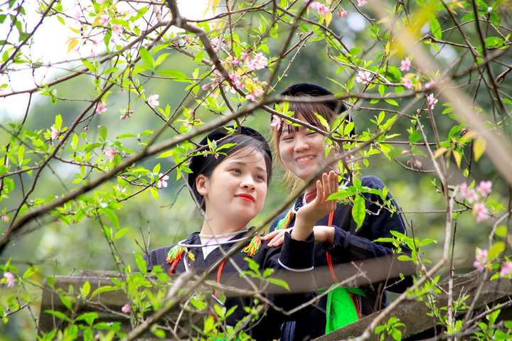 Ảnh: Đỉnh Tây Thiên ngập tràn sắc hoa, báo hiệu mùa xuân về - 8